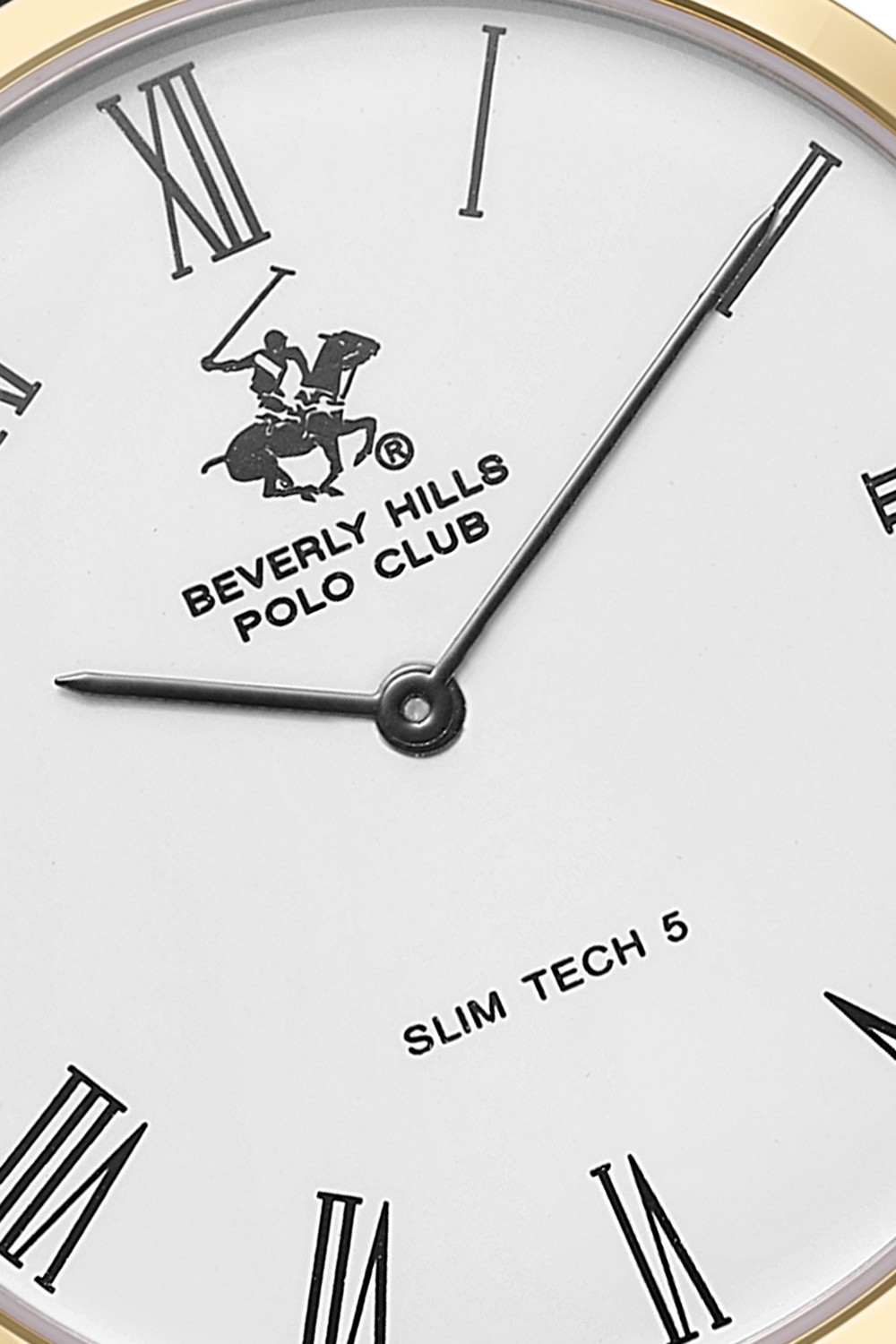 Часы BEVERLY HILLS POLO CLUB  BP3615X.131, Браслет/Ремень: Ремешок из кожи чёрный